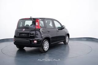 FIAT New Panda usata, con Chiusura centralizzata
