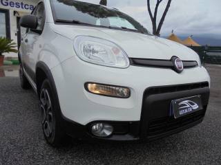 FIAT Panda usata 15