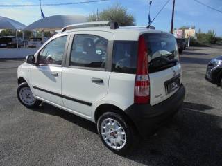 FIAT Panda usata 8