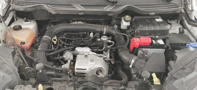FORD EcoSport usata 62