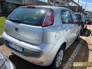 FIAT Punto Evo usata, con Airbag