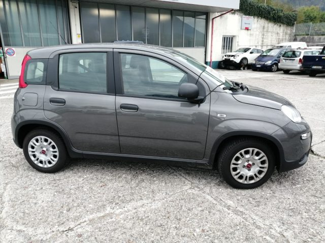FIAT Panda usata, con Antifurto