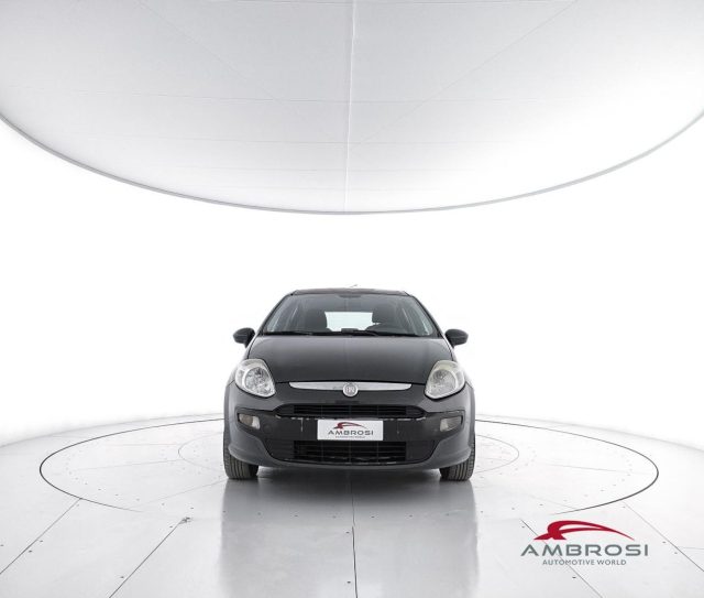 FIAT Punto usata 4