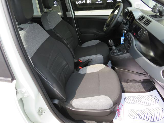 FIAT Panda usata 22