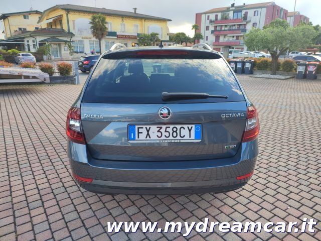 SKODA Octavia usata 30