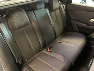 DS AUTOMOBILES DS 7 usata, con Park Distance Control