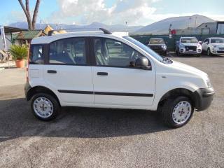 FIAT Panda usata 13