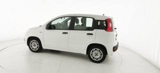 FIAT Panda usata 28