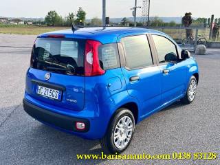 FIAT Panda usata, con Airbag Passeggero