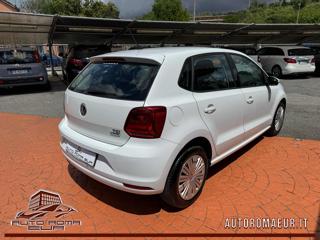 VOLKSWAGEN Polo usata, con Alzacristalli elettrici