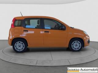 FIAT Panda usata, con Climatizzatore