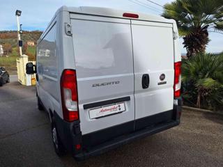 FIAT Ducato usata, con Servosterzo