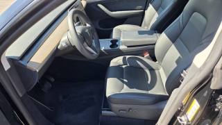 TESLA Model Y usata, con Cruise Control