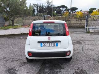 FIAT Panda usata 4