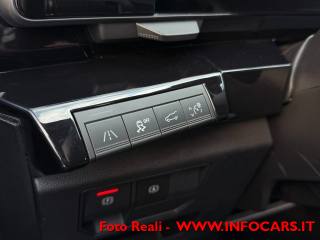RENAULT Austral usata, con Bracciolo
