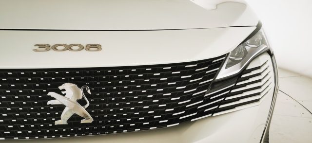 PEUGEOT 3008 usata 65