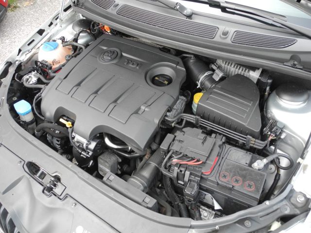 SKODA Fabia usata 59