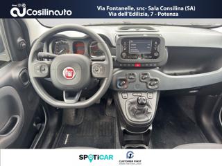 FIAT Panda usata, con Controllo trazione