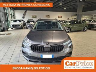 SKODA Kamiq usata, con Touch screen