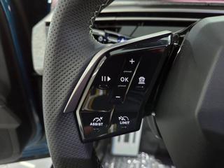 PEUGEOT 3008 usata, con Servosterzo