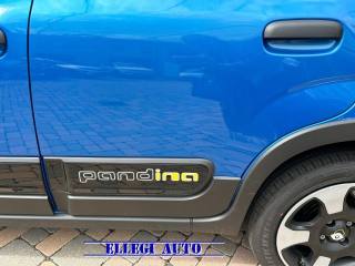 FIAT Pandina Cross usata, con Controllo trazione