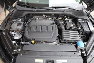 SKODA Octavia usata 173