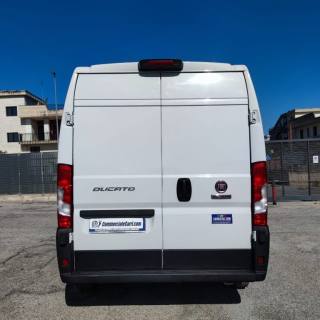 FIAT  usata 3