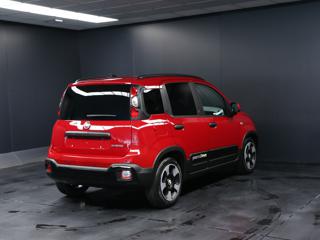 FIAT Panda Cross usata, con Airbag Passeggero