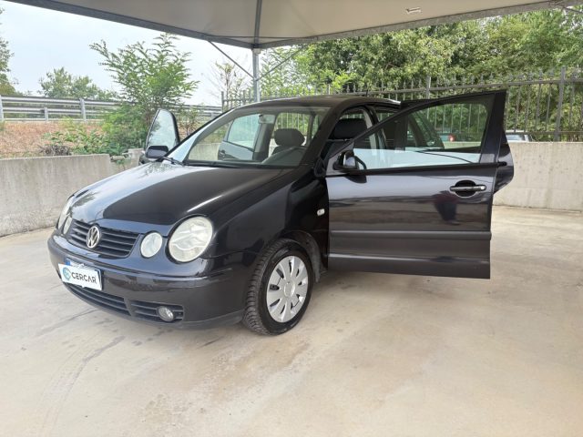 VOLKSWAGEN Polo usata 44