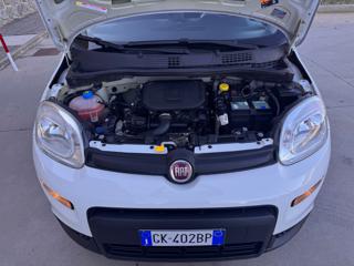 FIAT Panda usata, con Start/Stop Automatico