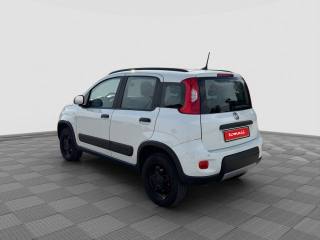 FIAT Panda usata 2