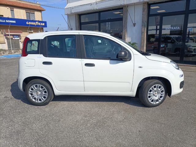 FIAT Panda usata, con Controllo trazione