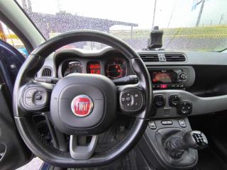 FIAT Panda usata, con Airbag testa