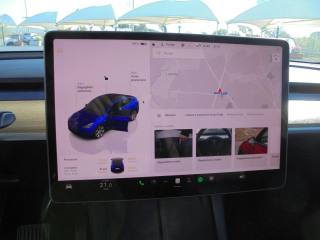 TESLA Model Y usata 38