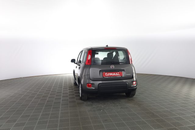 FIAT Panda usata 4