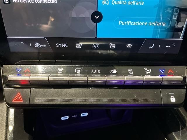 RENAULT Austral usata 21