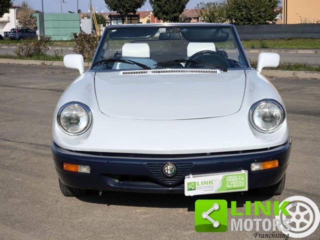 ALFA ROMEO Spider usata 6