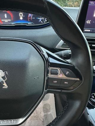 PEUGEOT 3008 usata, con Vetri oscurati