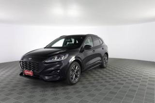 FORD Kuga Kuga 2.0 EcoBlue 120 CV aut. 2WD ST-Line