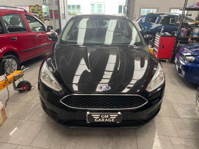 FORD Focus usata, con Fendinebbia