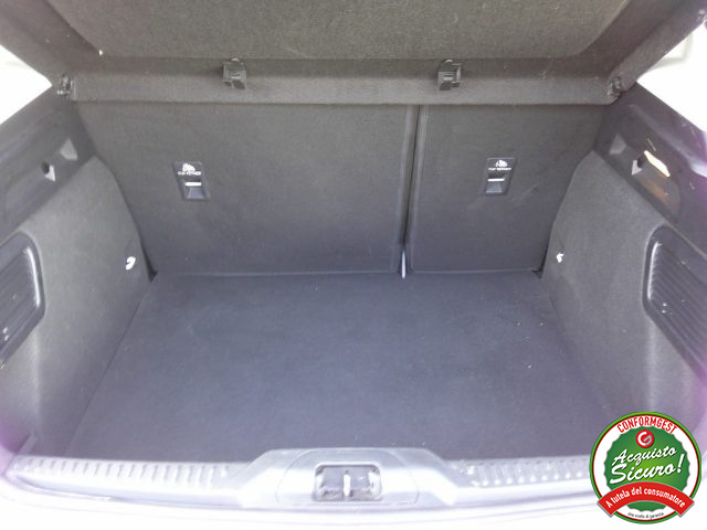FORD Focus usata, con Fendinebbia