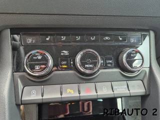 SKODA Karoq usata, con Luci diurne LED