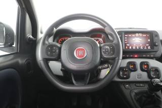 FIAT Panda Cross usata 5