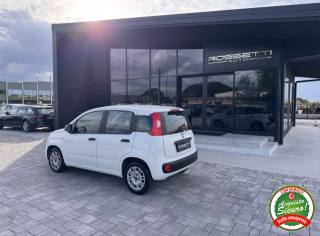 FIAT Panda usata, con Controllo trazione
