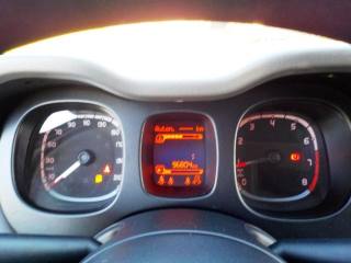 FIAT Panda usata, con Ruotino