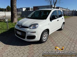 FIAT Panda usata, con Airbag Passeggero