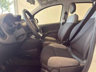 FIAT Panda usata 16