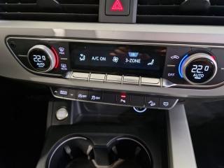 AUDI A4 allroad usata 20