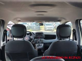 FIAT Panda usata, con Antifurto