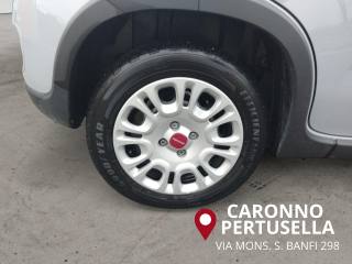 FIAT Panda usata, con Airbag testa